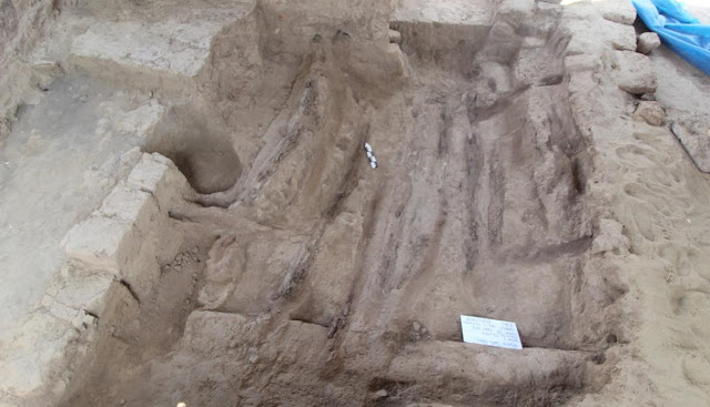 Mochica elite's last woman unearthed in Lambayeque Mochica elite's last woman unearthed in Lambayeque