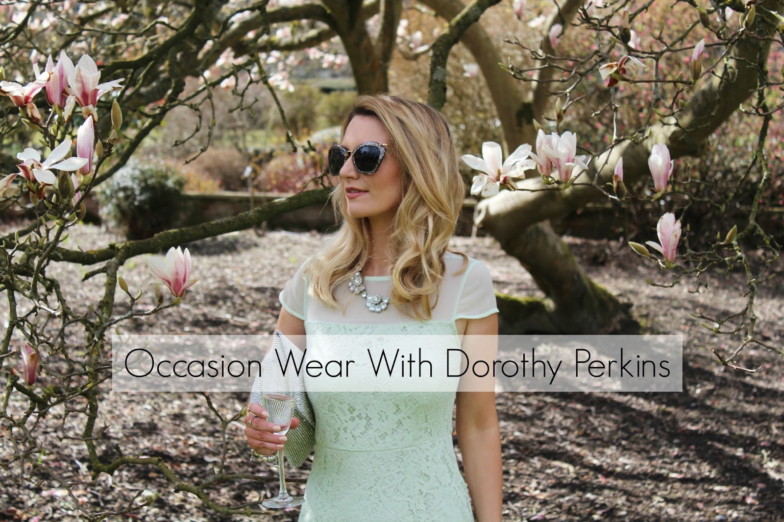 occasion wear dorothy perkins