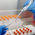 Prueba molecular producida en Perú despierta el interés de científicos y otros países