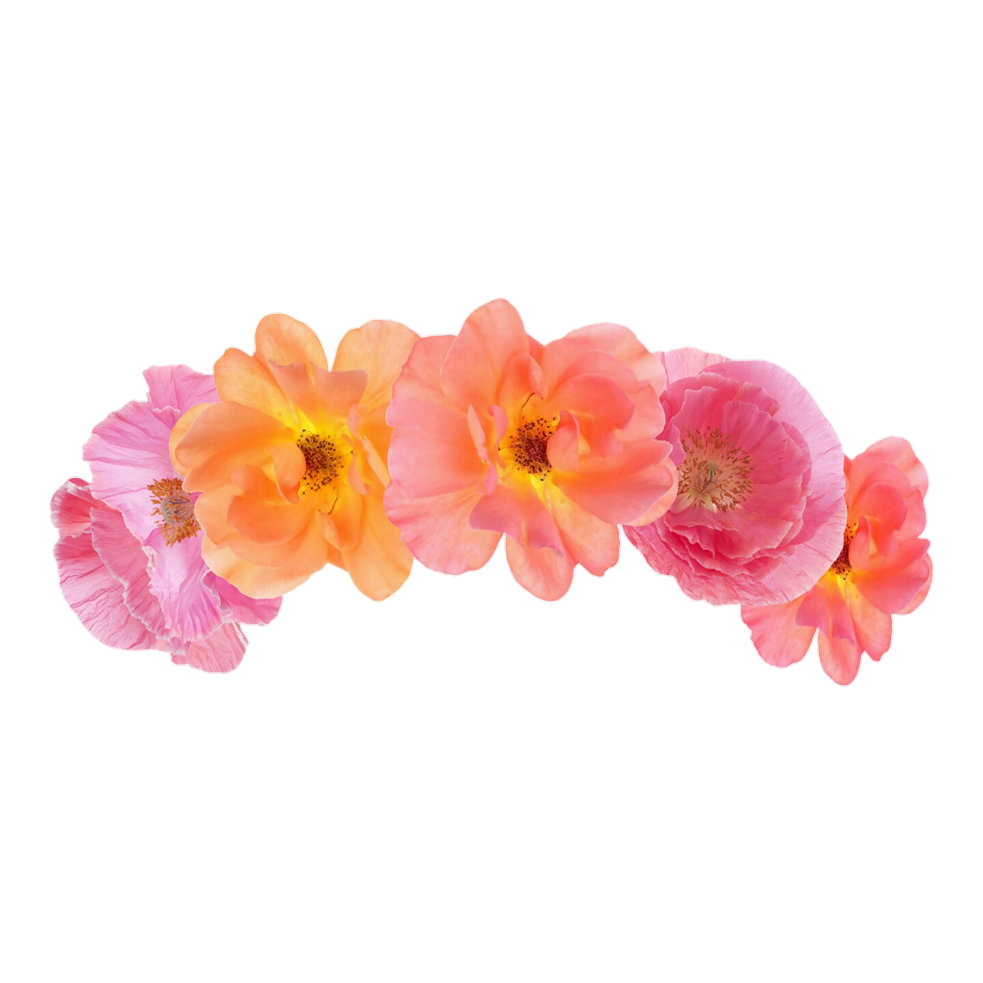 Mentahan Bunga Picsart