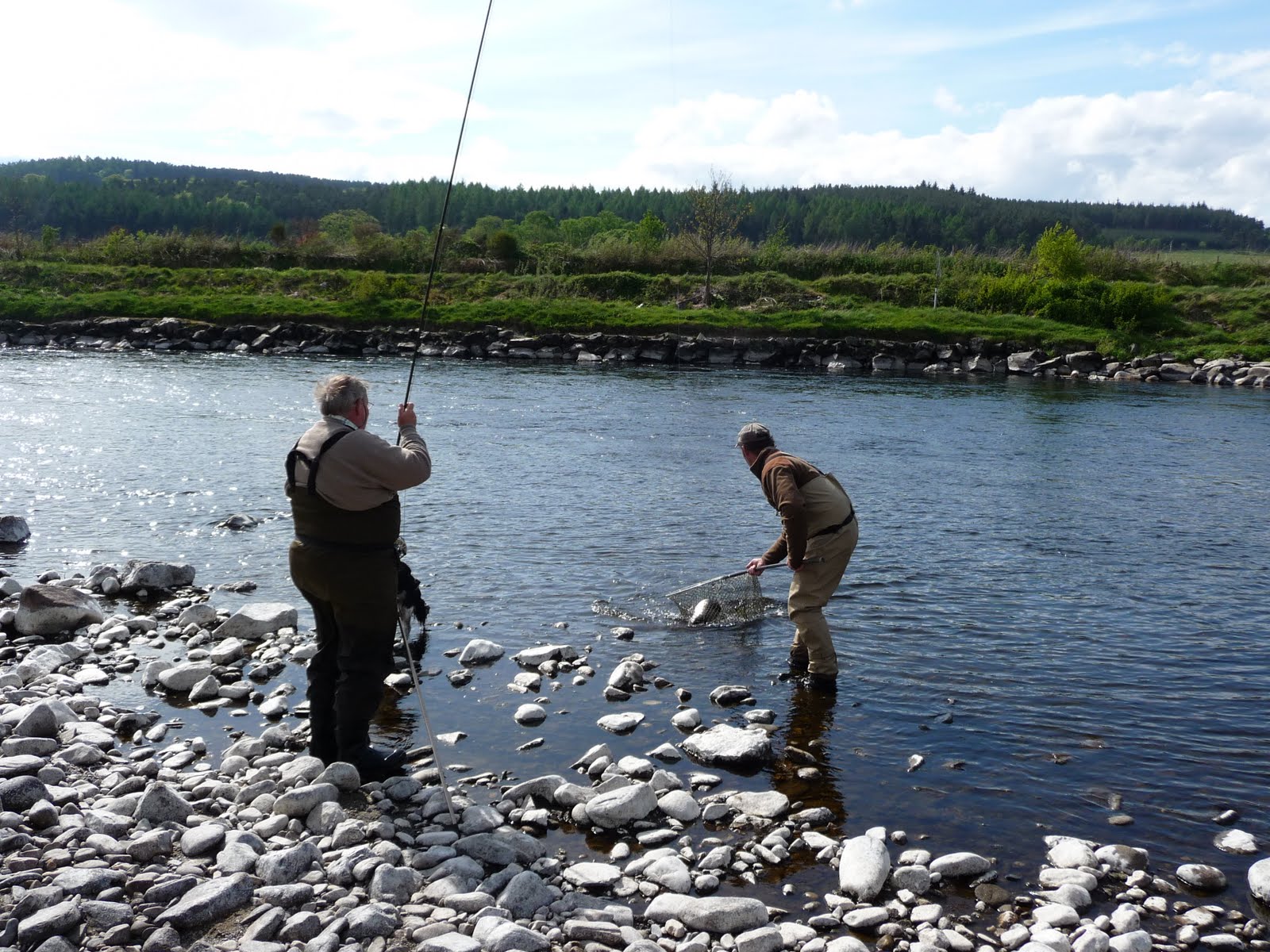 Salmon Fishing Scotland. Salmon Fishing Scotland Salmon Fly Fishing on the Spey.