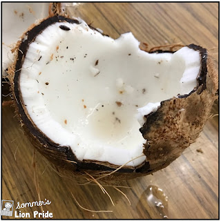 a coconut that has been cracked open showing the white coconut meat