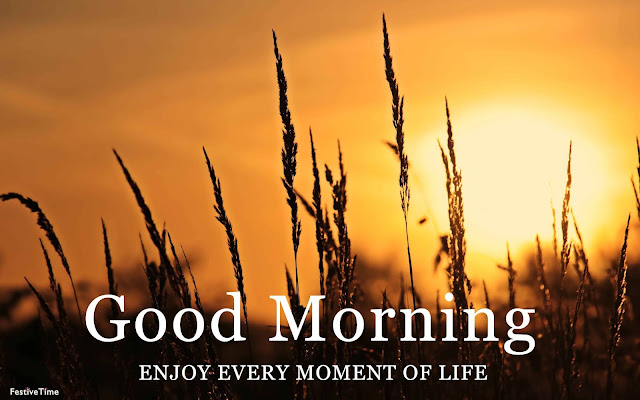 Top 10 Hd Sunrise Good Morning Images with quotes [ Happy Morning Image]