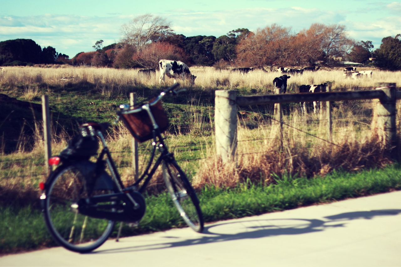 Bicycle! Bicycle! Ulverstone to Turner's Beach