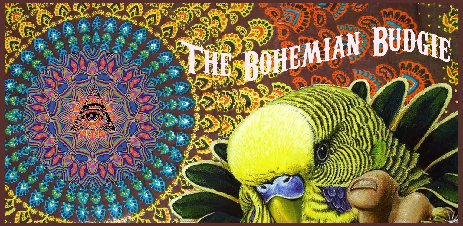 The Bohemian Budgie