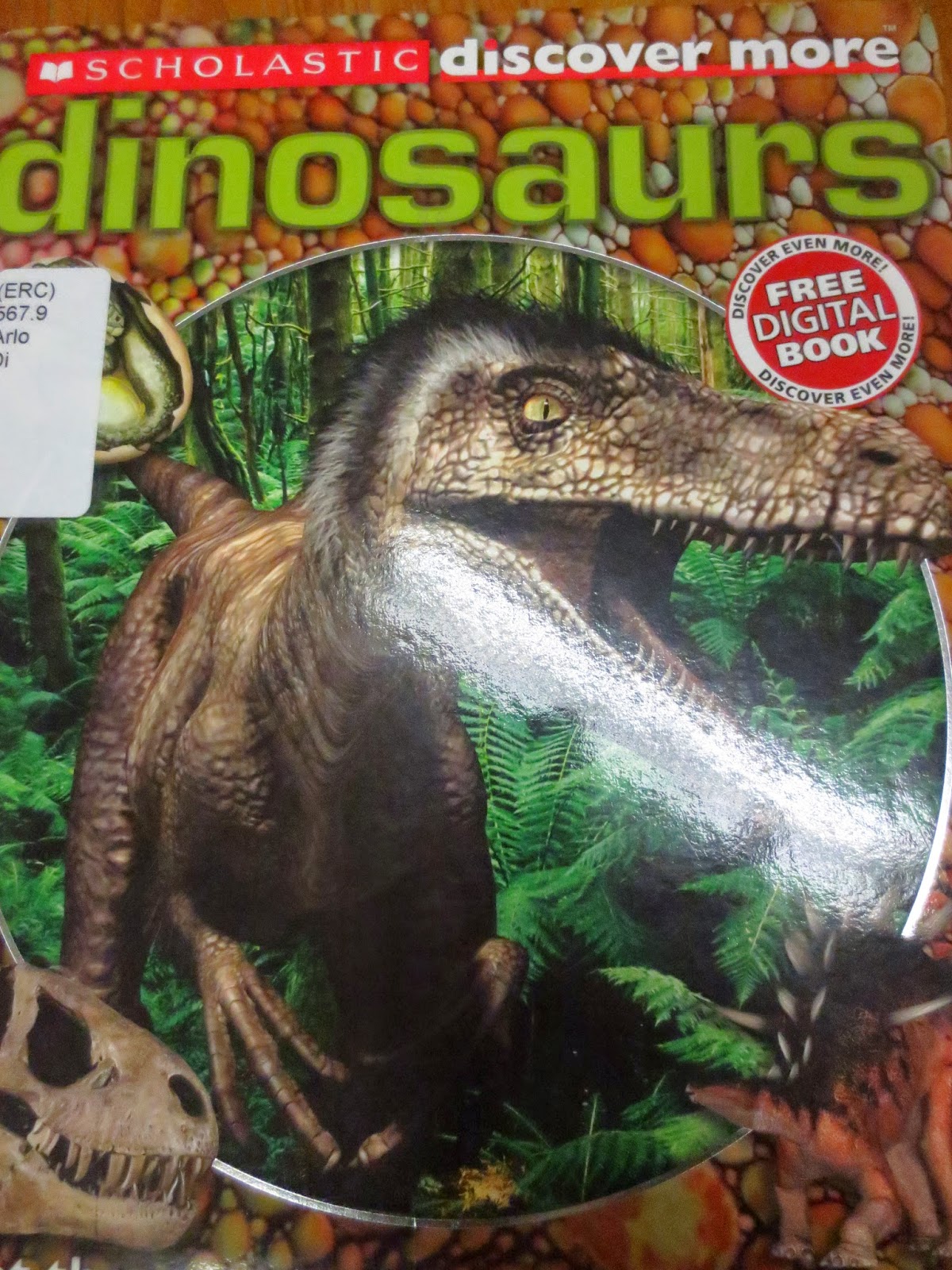 Science Blog : Dinosaur Investigation Box