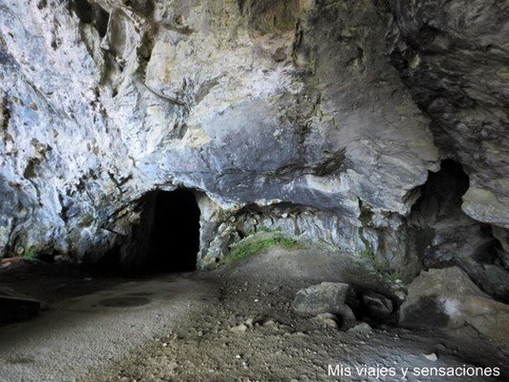 Pinturas rupestres cueva de Niaux, Ariége, Midi-Pirineos, Francia