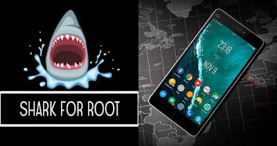 Shark For Root