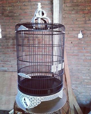 28+ Harga sangkar burung kacer ebod jaya terbaru