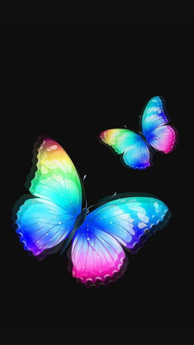 Whatsapp DP Images Butterfly GOODMORNINGIMAGESS Whatsapp DP And Wallpapers
