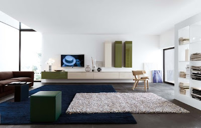 Decoración de interiores: Alfombras de centro para sala: ¡Deja entrar