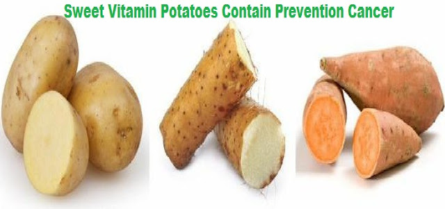 File:Sweet Vitamin Potatoes Contain Prevention Cancer.svg
