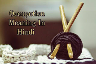 Occupation Meaning In Hindi