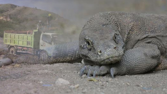 Bintang Emon: Komodo yang Tidak Melawan Penguasa aja Rumahnya Digusur Bintang Emon: Komodo yang Tidak Melawan Penguasa aja Rumahnya Digusur