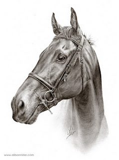 dibujos-realistas-en-carboncillo-de-caballos caballos-dibujos-carboncillo