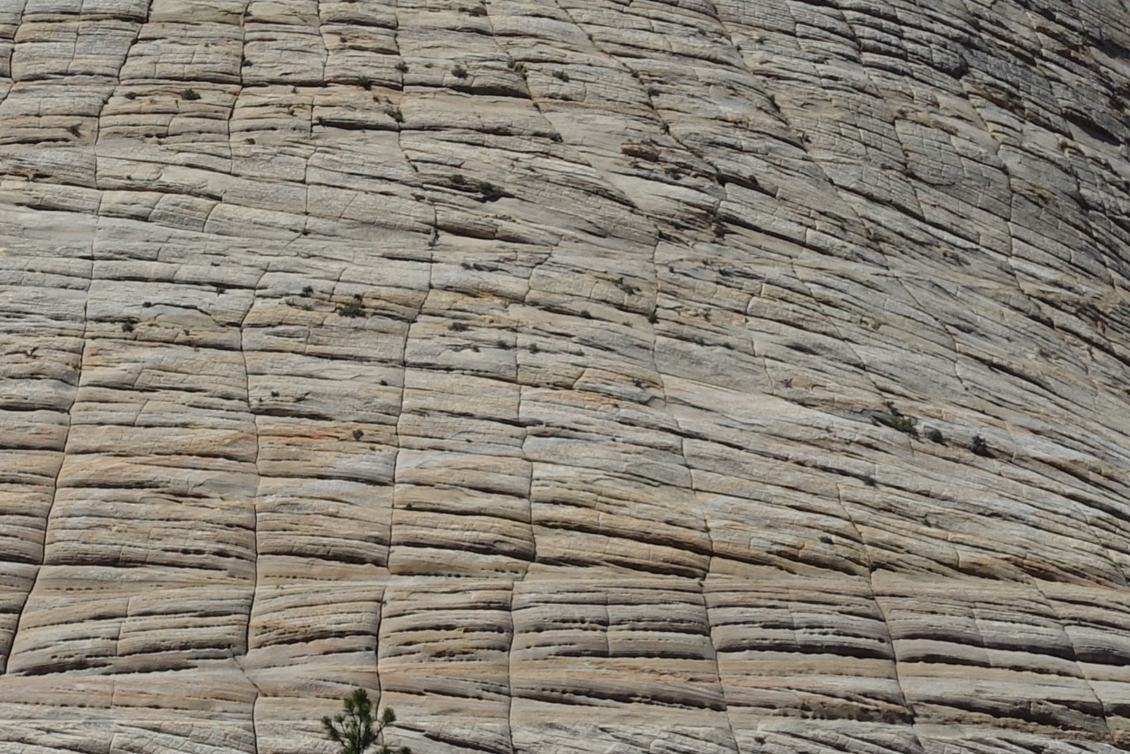 Geology in Motion Checkerboard Mesa, Utah An example of
