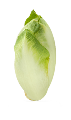 Kosakata Bahasa Inggris Sayur-sayuran Disertai Gambar ...