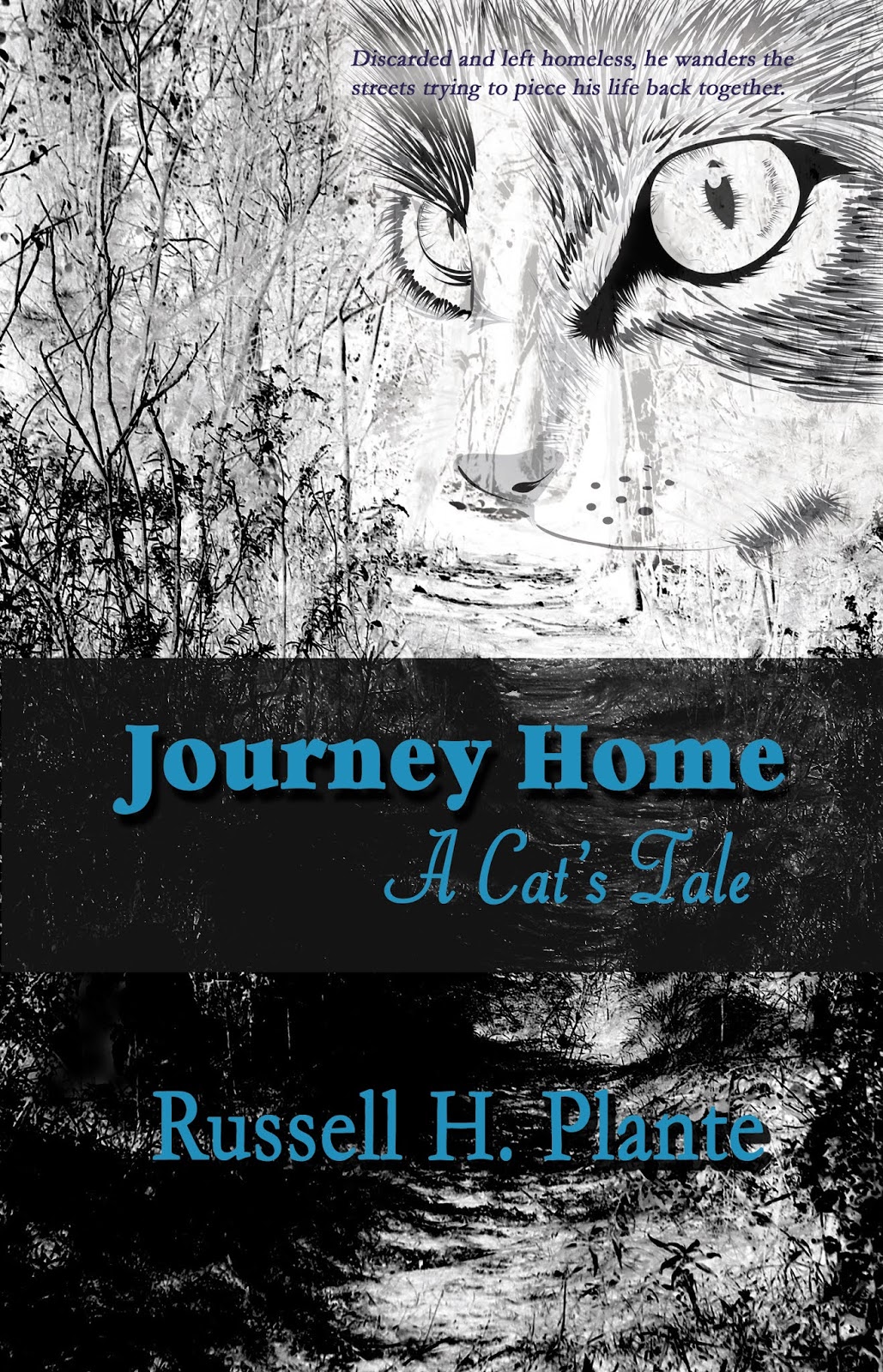 journey with cat