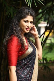 Roshini Prakash Saree Stills From Jada Movie Audio Launch