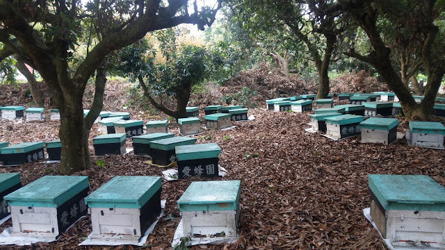 推廣台灣純蜂蜜,龍眼蜜,蜂蜜檸檬,蜂花粉,蜂王漿,等蜂產品,產品經SGS檢驗,提供天然純淨,安全的蜂產品是愛蜂園的唯一宗旨03-5563939