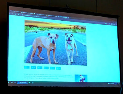 Jill Caren, SEO expert teaches BlogPaws conference attendees how to get more traffic to your blog using SEO