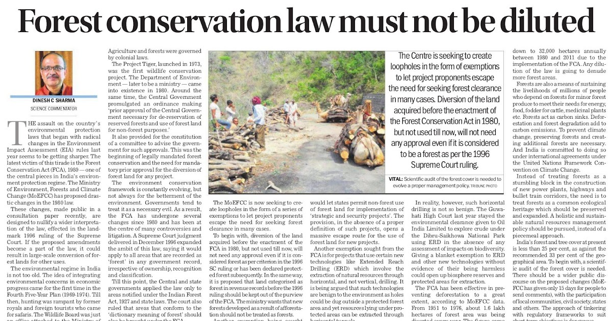 Forest Conservation Law Must Not Be Diluted