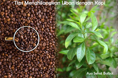Tips Menghilangkan Uban dengan Kopi Tips Menghilangkan Uban dengan Kopi