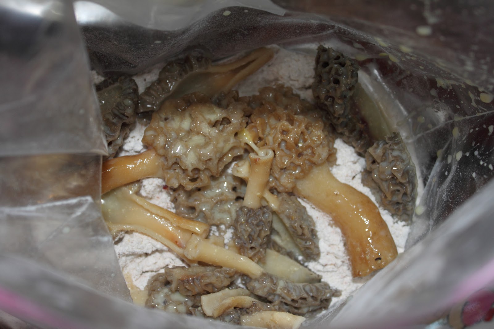 clean4myking Fried Morels (or Portabella) Mushrooms w/ Gluten Free Option