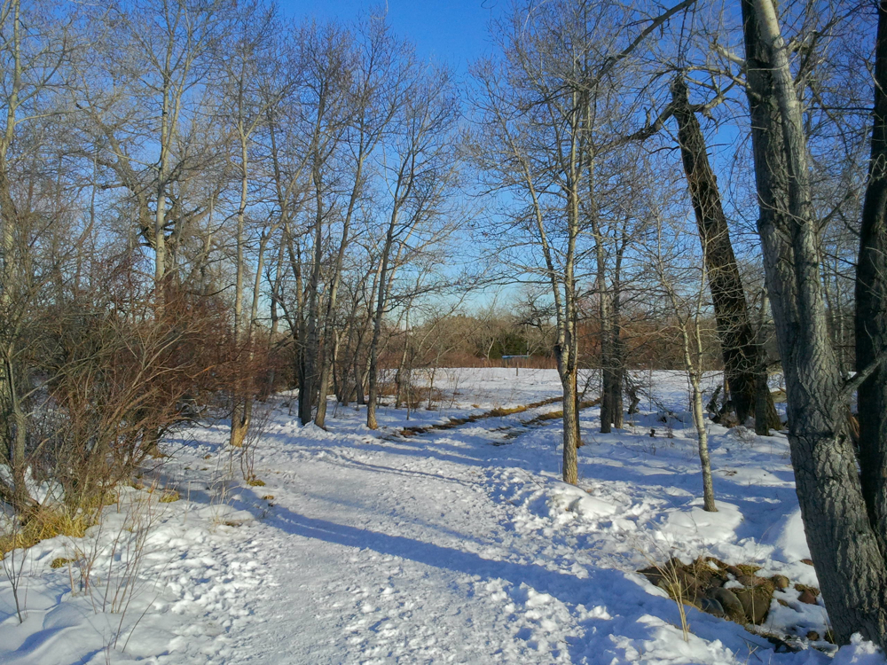 South Boulder Creek West