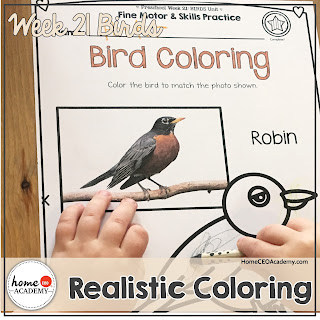 https://www.teacherspayteachers.com/Product/Birds-Preschool-Unit-Printables-for-Preschool-PreK-Homeschool-Preschool-3590816