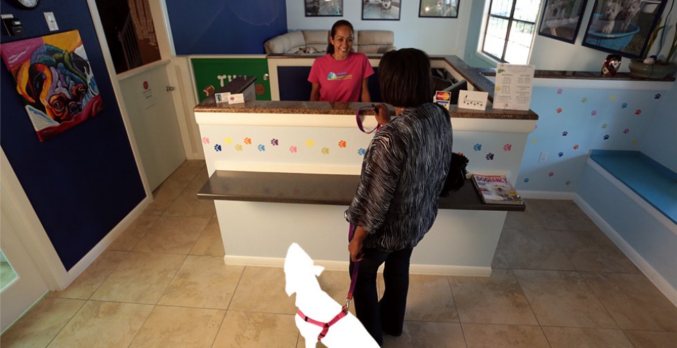 Starting a Pet Business Pet Hotels And Boarding Houses biographypedia