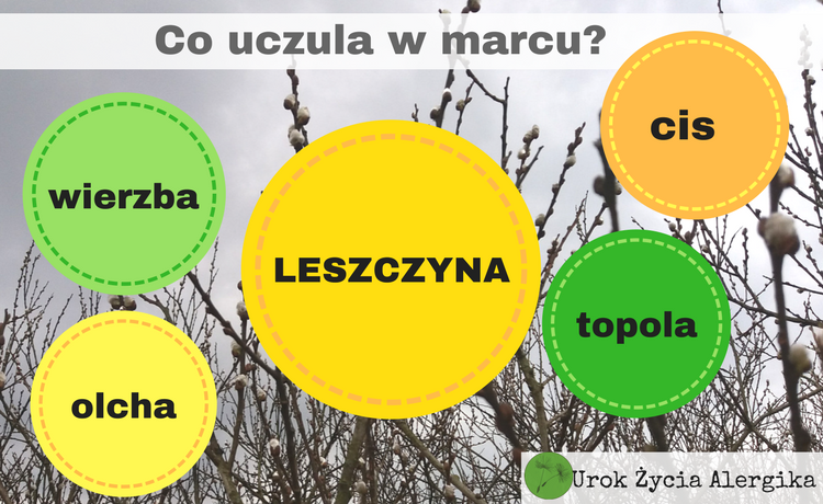 Co uczula w marcu? 5 najczęstszych alergenów.