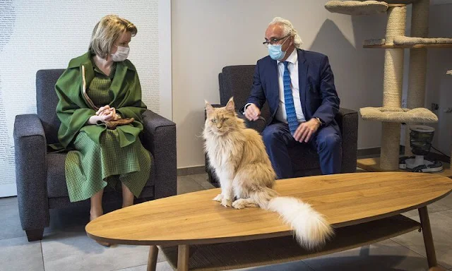 Queen Mathilde wore a green wool canvas and cashmere cape and green dress from Natan