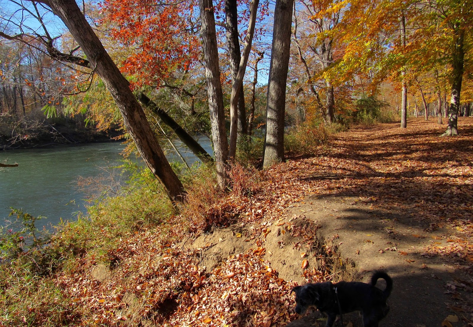 Where's Liz? 2016 McIntosh Reserve Park,