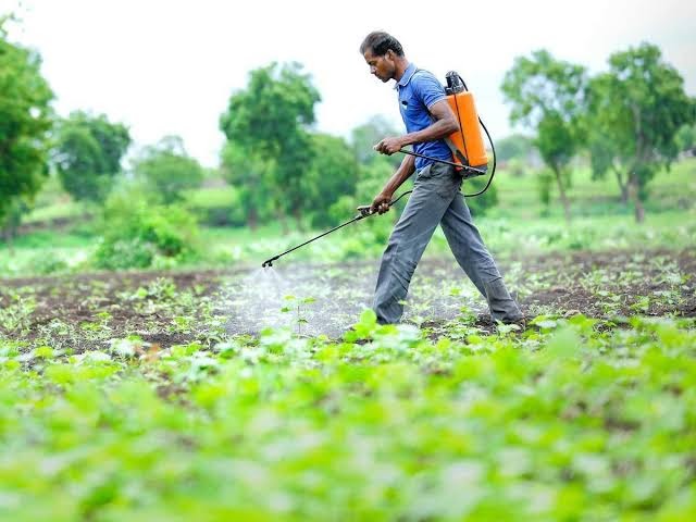 India Pesticides IPO: How to check allotment status ?