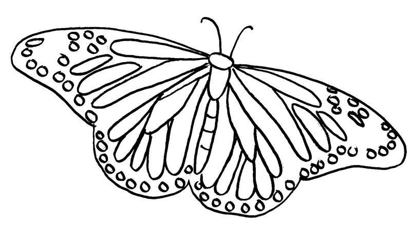 painted lady butterfly coloring pages - photo #1