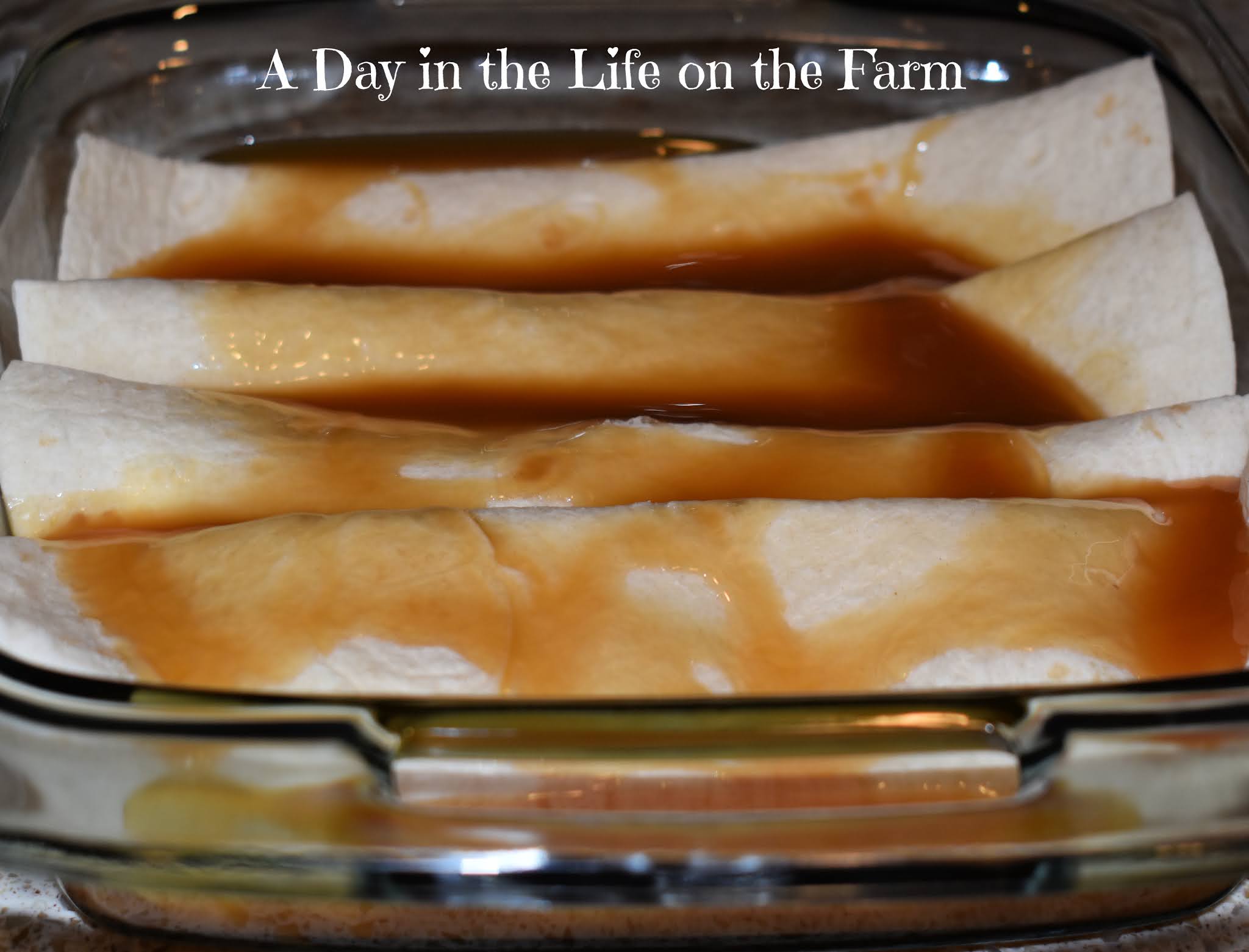 A Day in the Life on the Farm Banana Enchilada SundayFunday