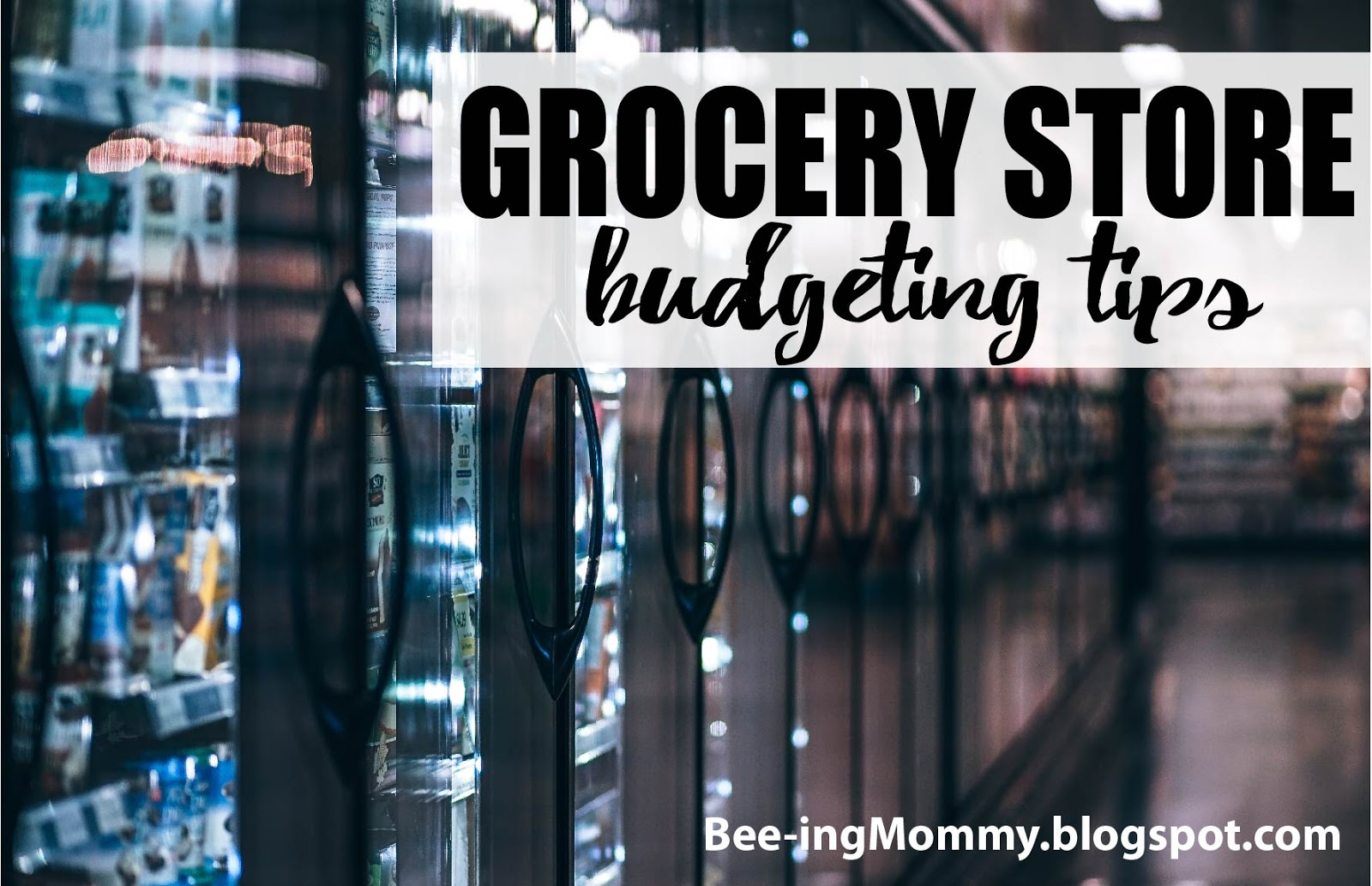 10+ Grocery Shopping Tips to help Save Money