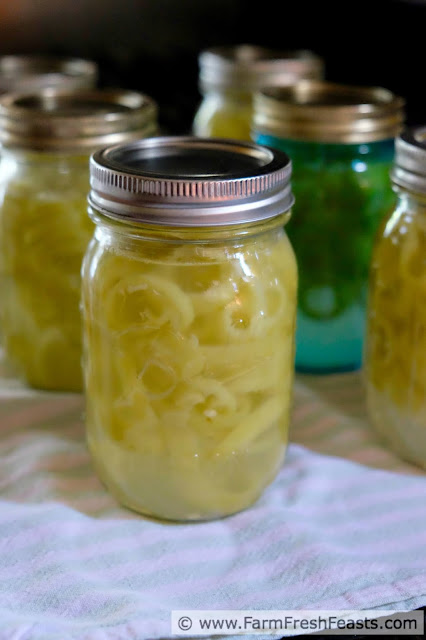 http://www.farmfreshfeasts.com/2015/07/pink-pickled-banana-peppers-for.html