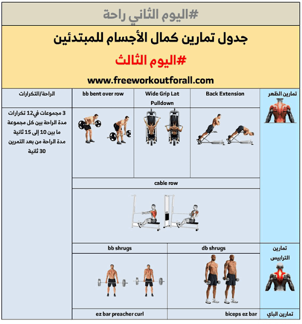 جدول تمارين كمال الأجسام للمبتدئين