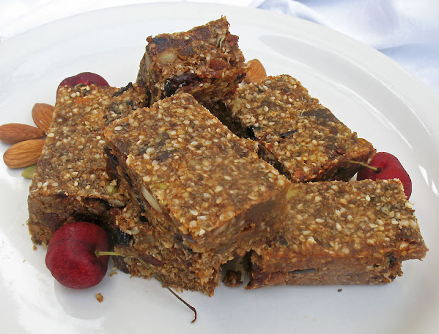 vegan protein bars