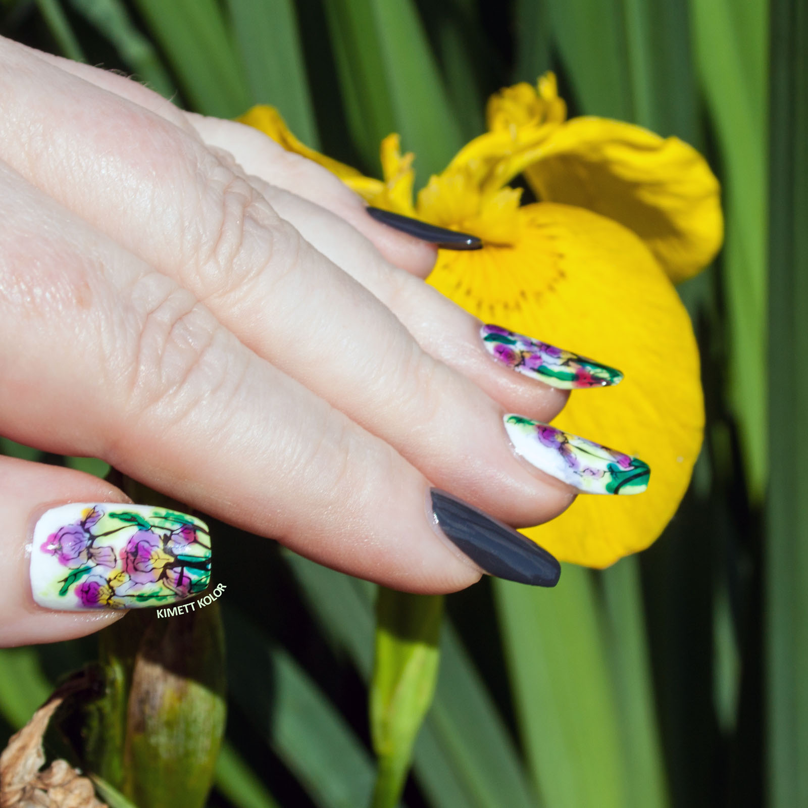 Watercolor Iris Stamping Nail Art Kimett Kolor Iris flower nail art decoration. watercolor iris stamping nail art