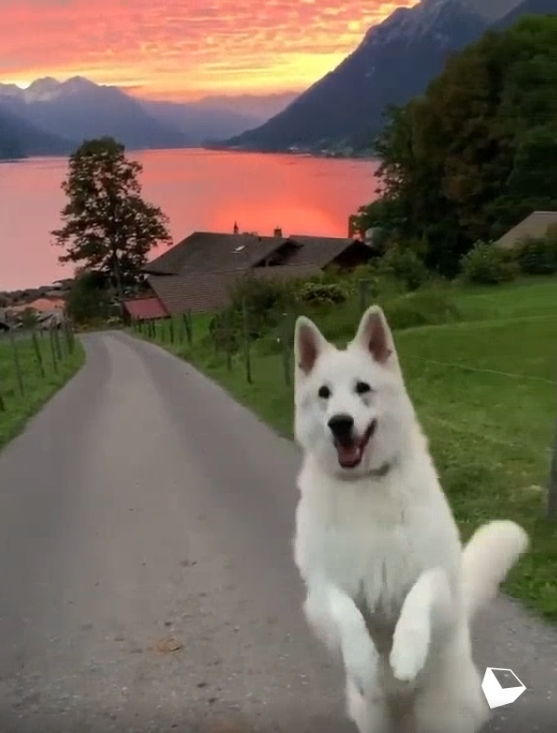 이 이미지는 대체 속성이 비어있습니다. 그 파일 이름은 20210511160145.png입니다