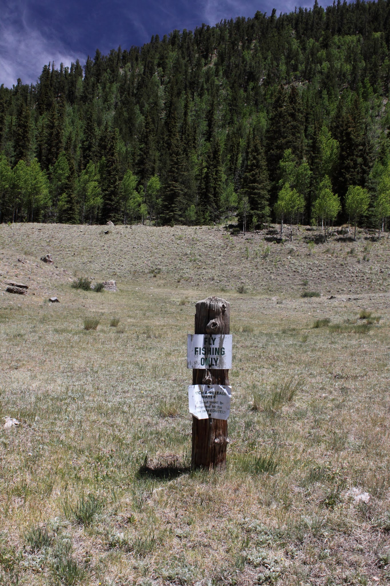 tenkarafisher Lake Fork, Conejos area, Colorado