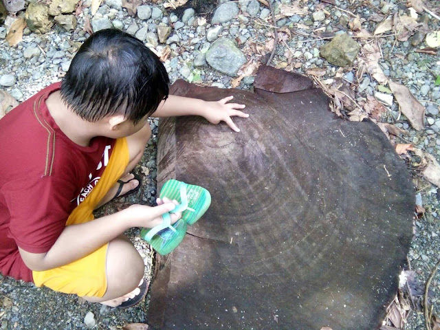 Baler Adventure