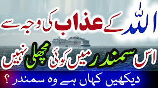 Dead Sea In Urdu Bahira Murdar Hindi Dead Sea Kahan Hai Asal Haqeeqat