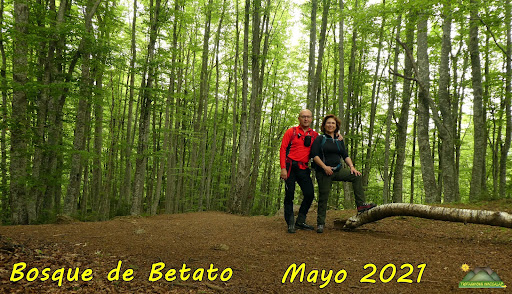 BOSQUE DE BETATO