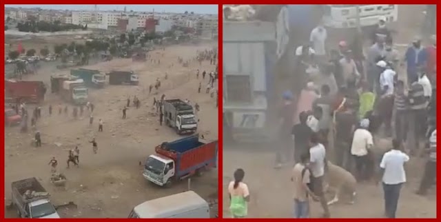 بالفيديو / المغرب : عملية سطو ضخمة بسوق المواشي بسبب غلاء الأسعار