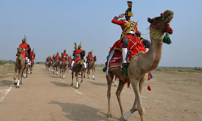 Wielbłądy w Pakistanie poruszają się lewą stroną drogi