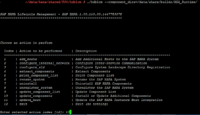 SAP HANA XS Advanced Installation through resident hdblcm (Command based)